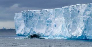 Antarctic Ice Shelf Hits Record Low for Second Consecutive Year