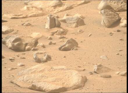 Perseverance rover spots a rock resembling a human head on Mars: what’s behind the illusion?