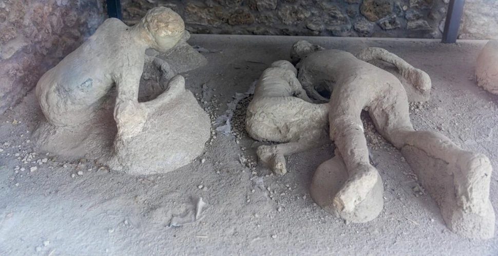 Ancient DNA Analysis Reshapes Pompeii History